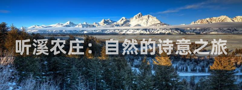 FH至尊是正规平台吗