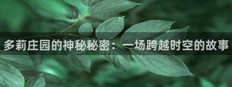 fh至尊是黑台子吗