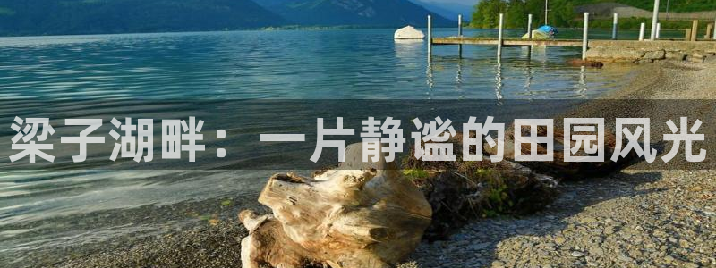 fh至尊是不是假的