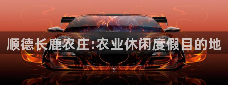 fh至尊凤凰消息的范本