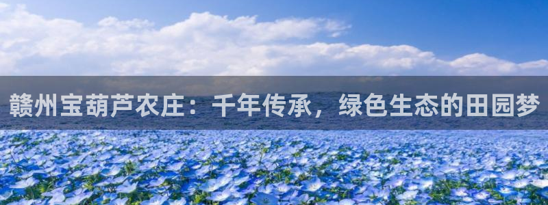 FH至尊信誉怎么样