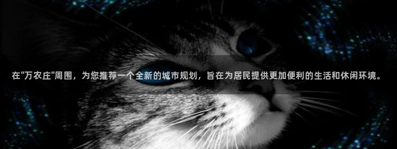 fh至尊平台简介