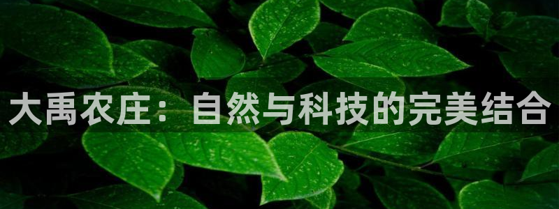 沃尔沃fh500至尊款