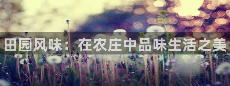 老凤凰改名FH至尊黑钱