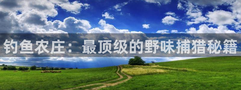 凤凰娱乐FH至尊地址