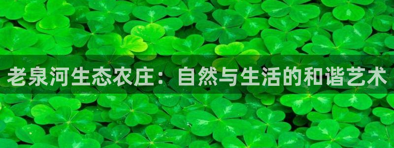 fh至尊平台网页地址