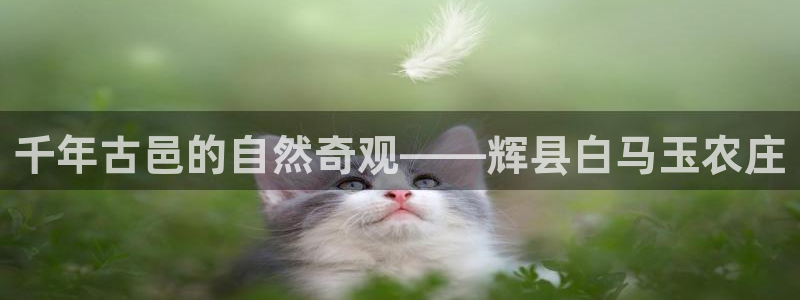 fh至尊怎么安装