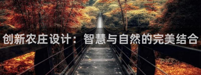 FH至尊不给提现