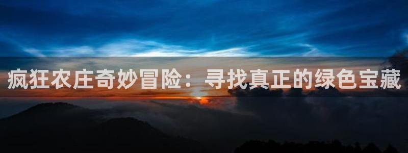 FH至尊出问题了