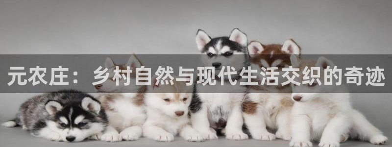 fh至尊手机端进不去