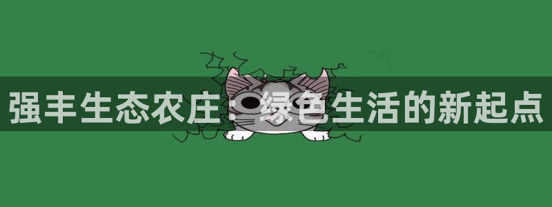 FH至尊属于哪里啊公司