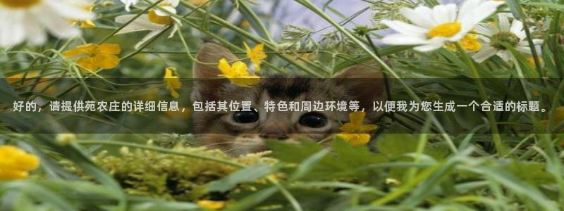 fh至尊是老凤凰吗