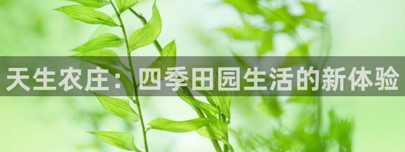 fh至尊是不是假的