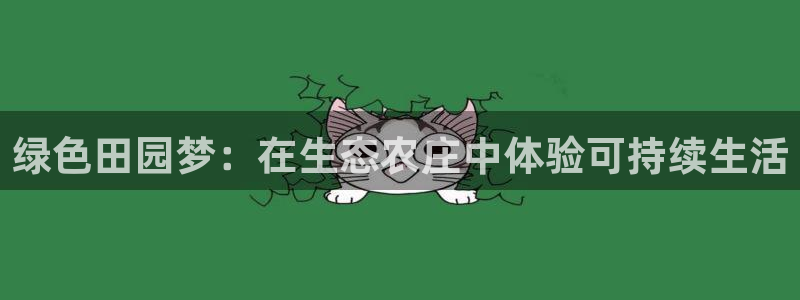 fh至尊是不是黑平台