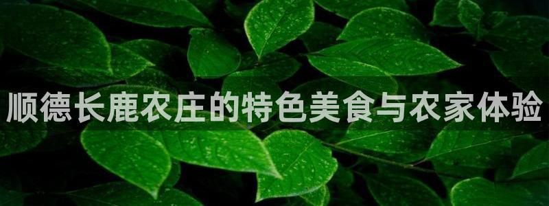 fh至尊怎么改密码