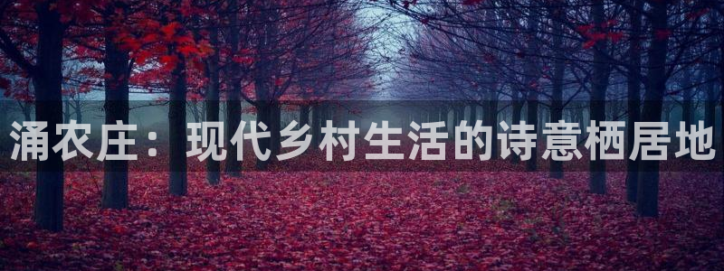 老凤凰改名FH至尊黑钱