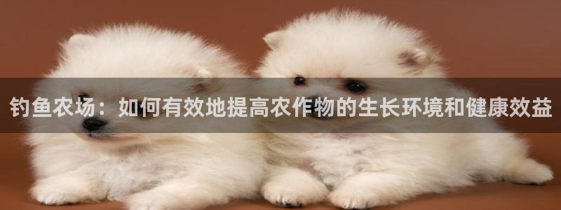 fh至尊是不是黑平台