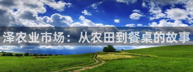 FH至尊开户链接